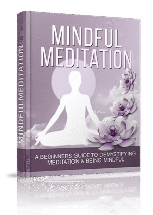 Mindful Meditation